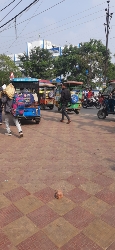 toto & bus stand  diamond harbour jetty Ghats