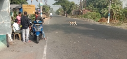 Ramrampur bus stand