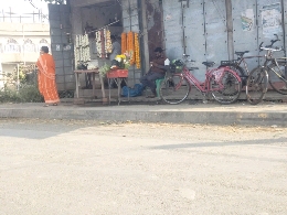 flower shop